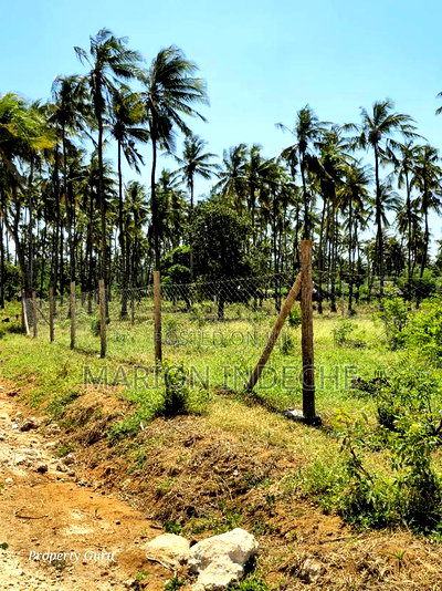 Affordable Beach Plots for Sale in Kilifi Chumani. - Image 2