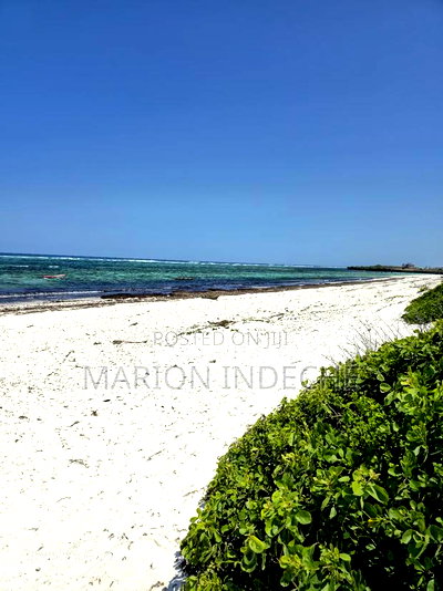Affordable Beach Plots for Sale in Kilifi Chumani. - Image 9