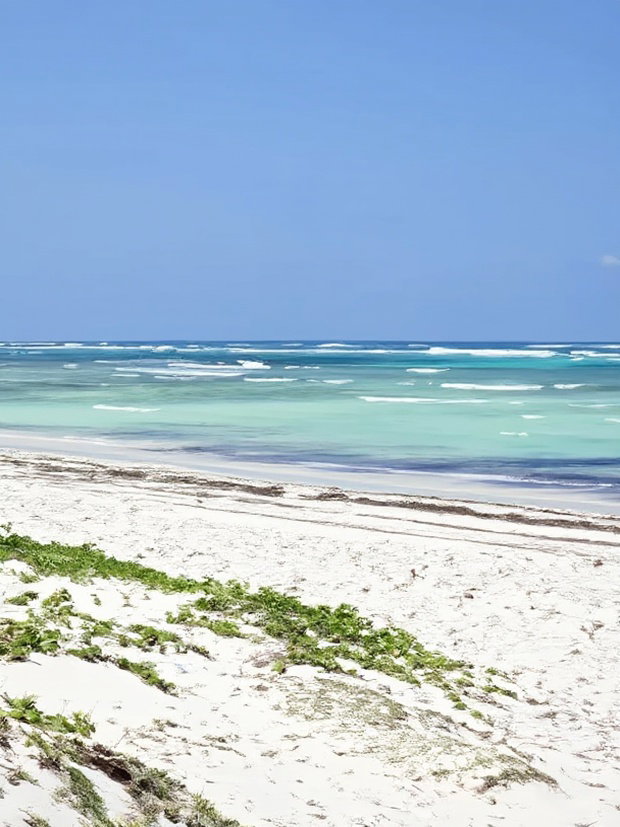 Affordable Beach Plots for Sale in Kilifi Chumani.