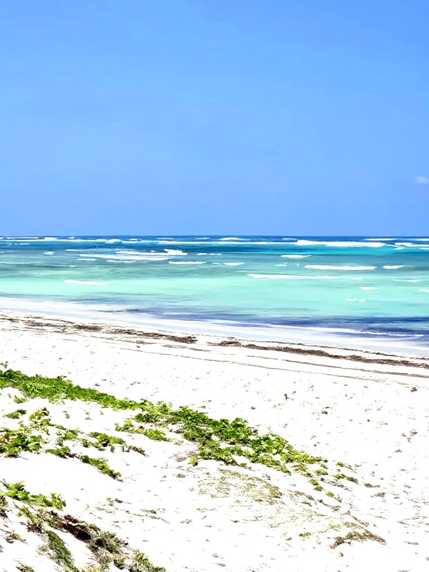 Affordable Beach Plots for Sale in Kilifi Chumani.