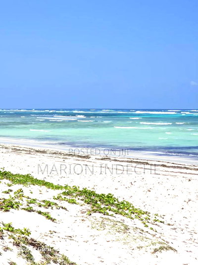 Affordable Beach Plots for Sale in Kilifi Chumani. - Image 1