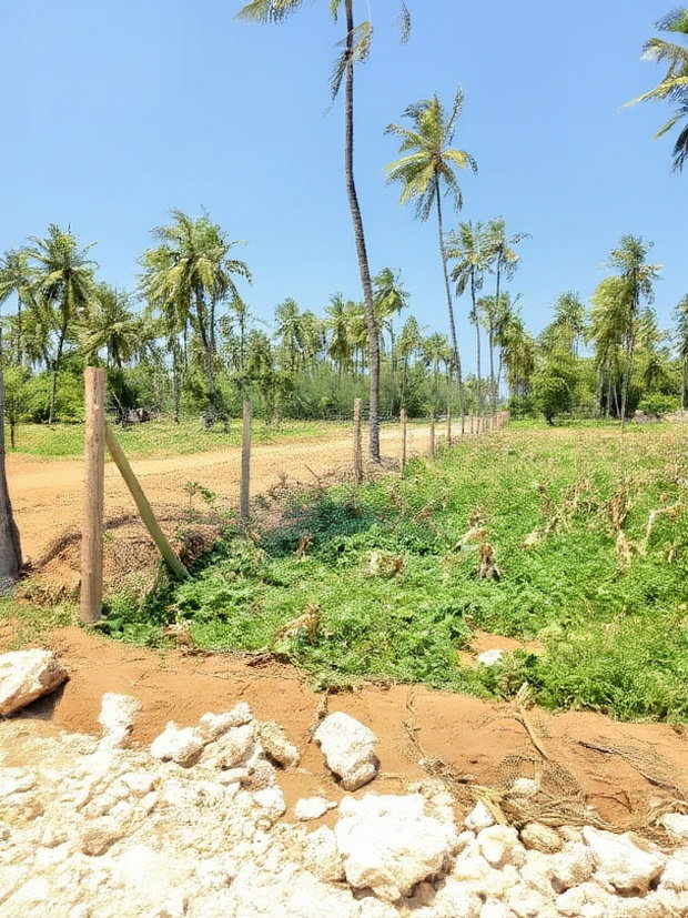 Affordable Beach Plots for Sale in Kilifi Chumani.