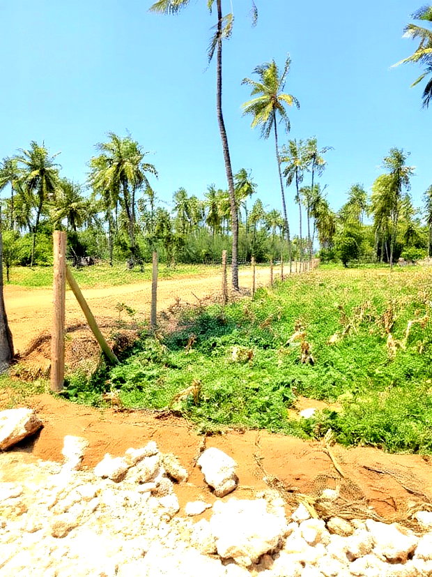 Affordable Beach Plots for Sale in Kilifi Chumani.