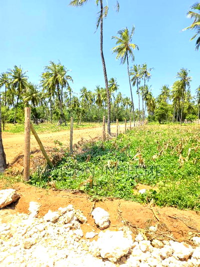 Affordable Beach Plots for Sale in Kilifi Chumani. - Image 4