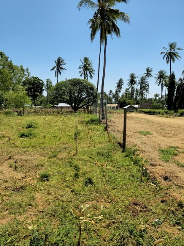 Affordable Beach Plots for Sale in Kilifi Chumani.