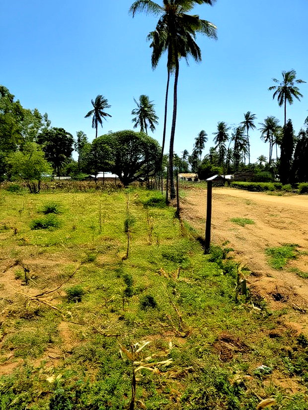 Affordable Beach Plots for Sale in Kilifi Chumani.