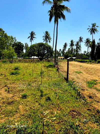 Affordable Beach Plots for Sale in Kilifi Chumani. - Image 3