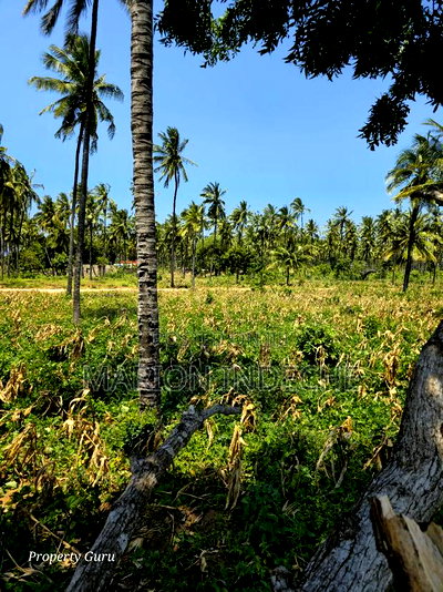 Affordable Beach Plots for Sale in Kilifi Chumani. - Image 7