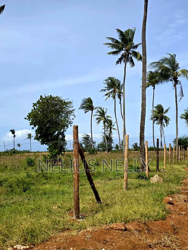Plots 800meters to Beach Chumani Kilifi