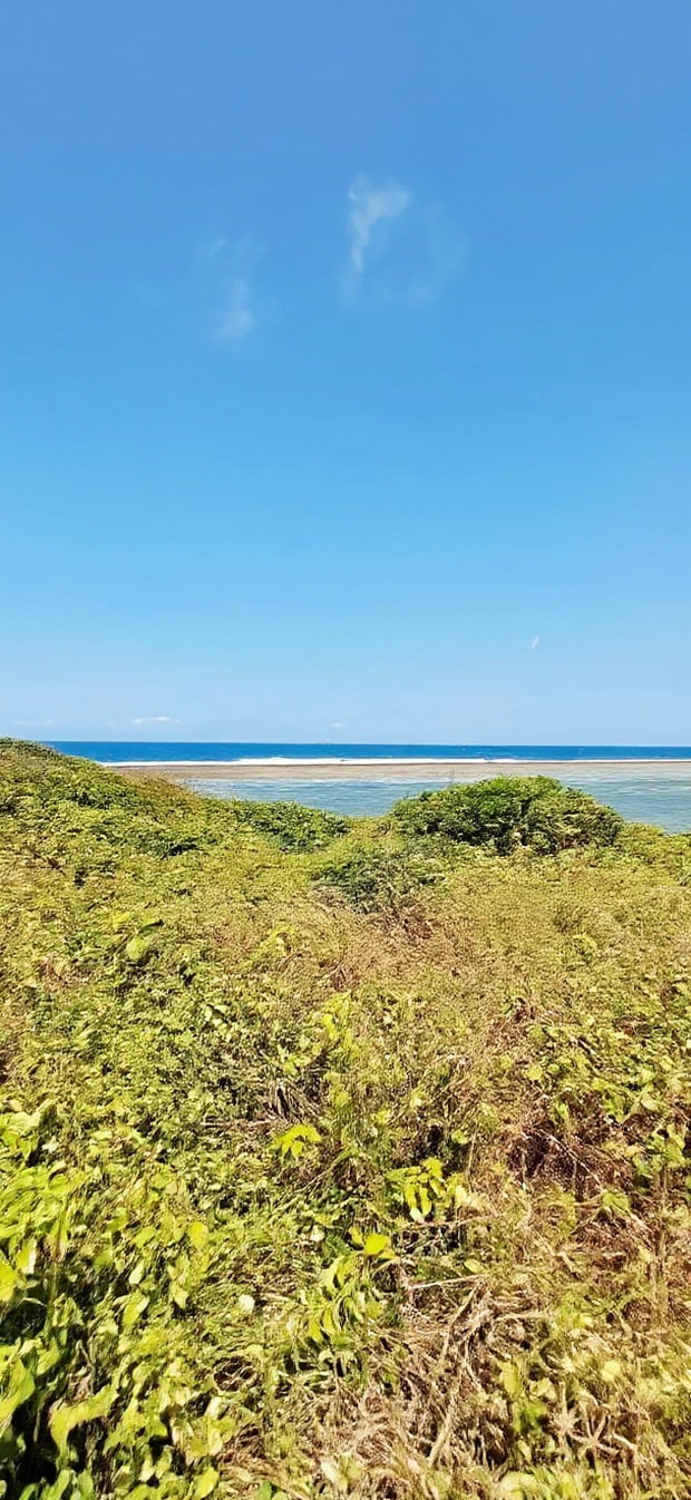 For Sale Quater Acre Beach Plots Vipingo