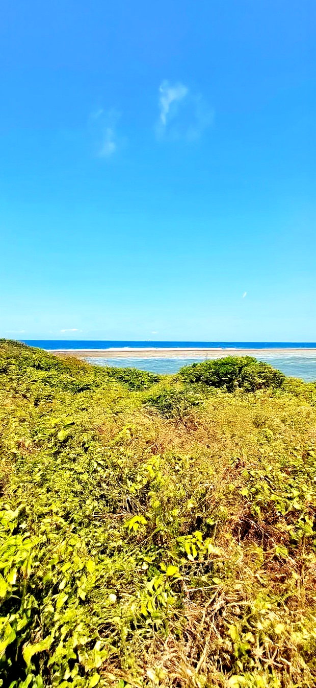 For Sale Quater Acre Beach Plots Vipingo