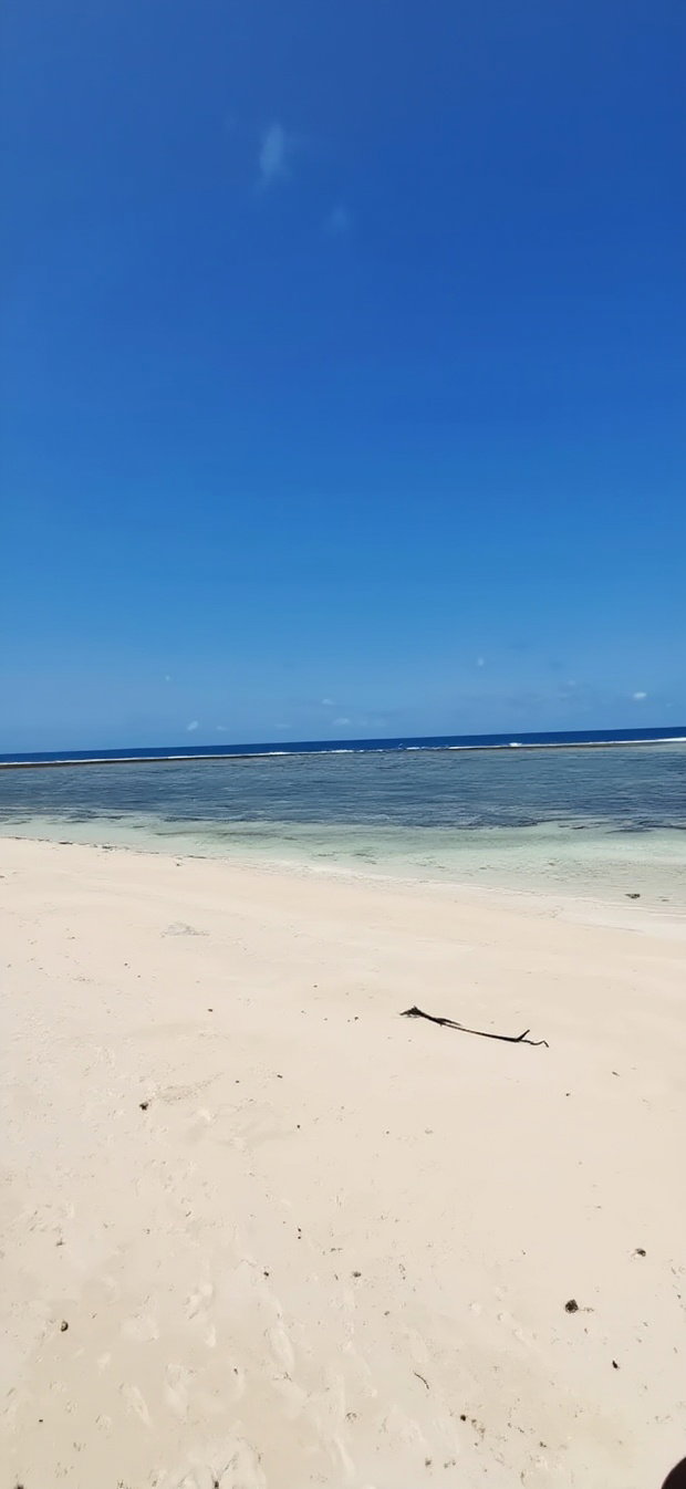 For Sale Quater Acre Beach Plots Vipingo