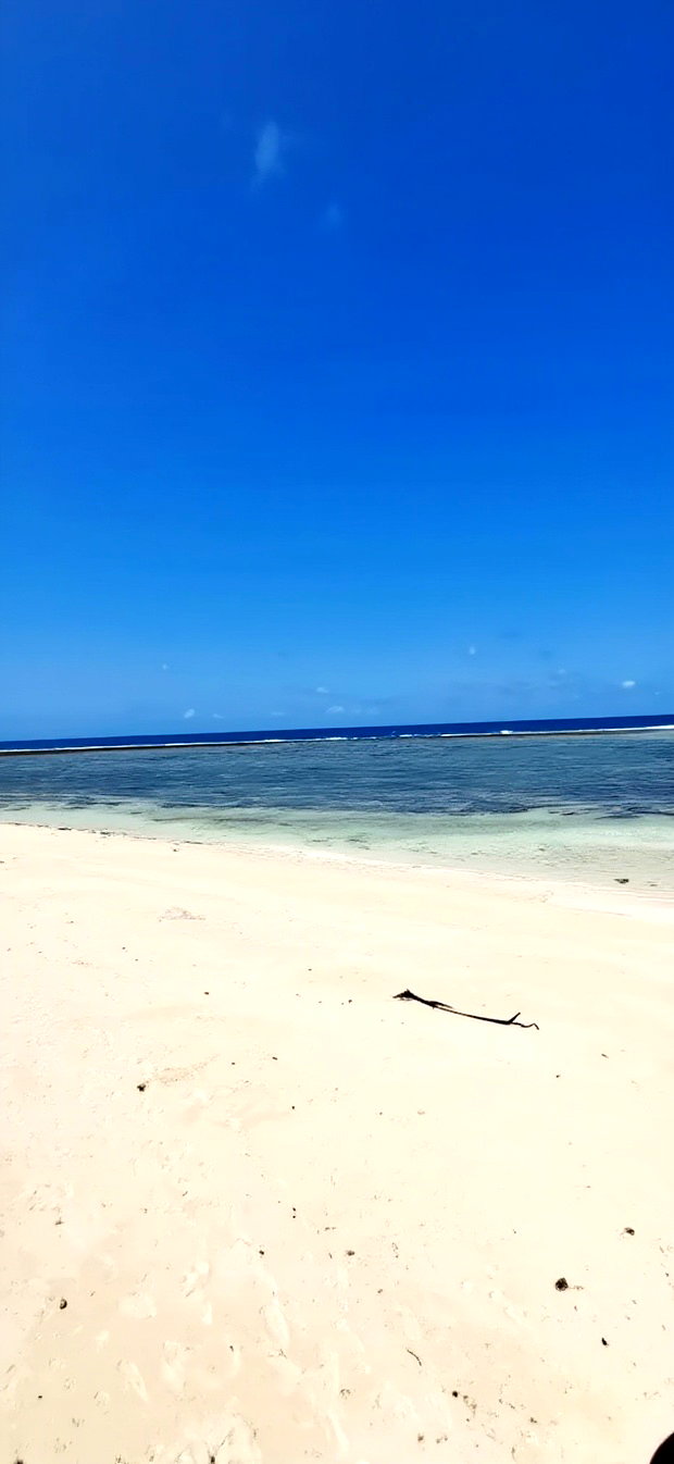 For Sale Quater Acre Beach Plots Vipingo