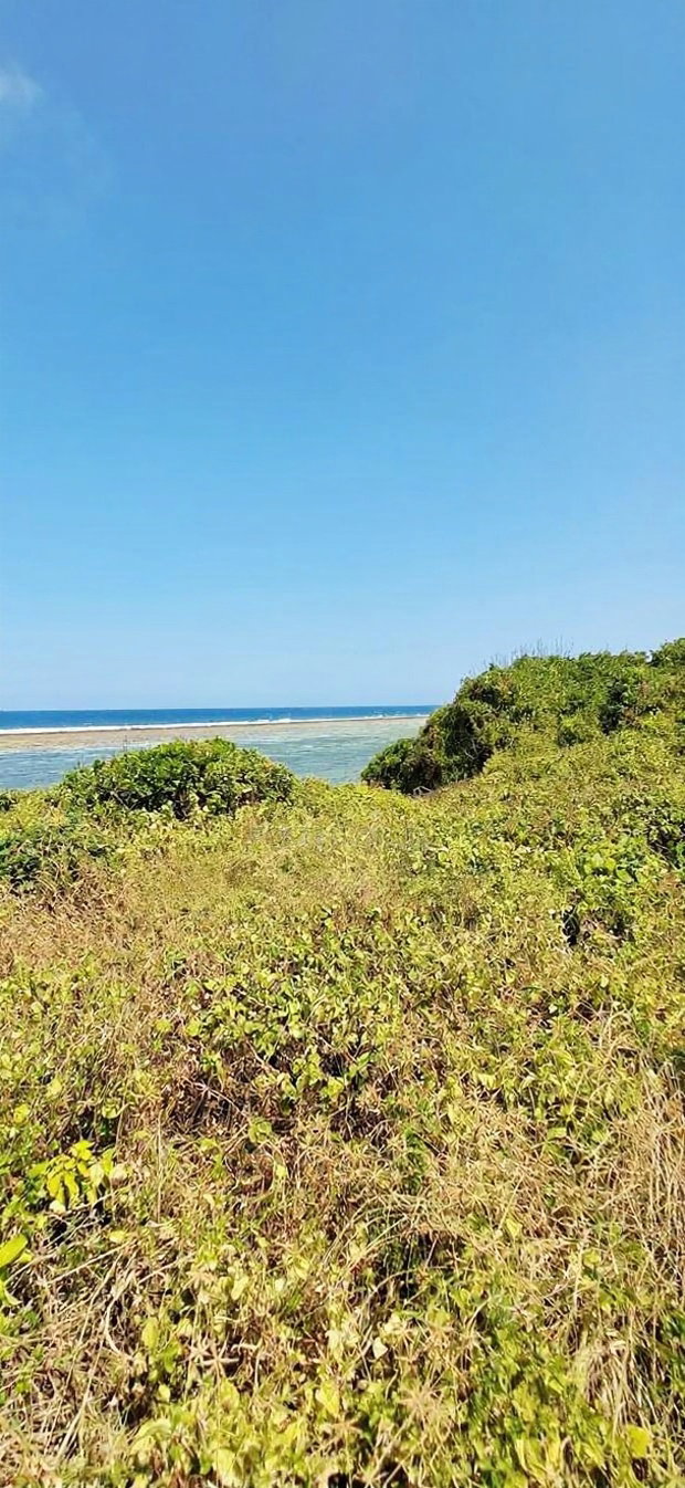 For Sale Quater Acre Beach Plots Vipingo