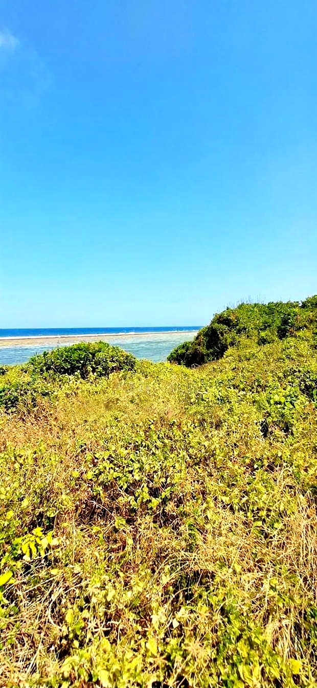 For Sale Quater Acre Beach Plots Vipingo