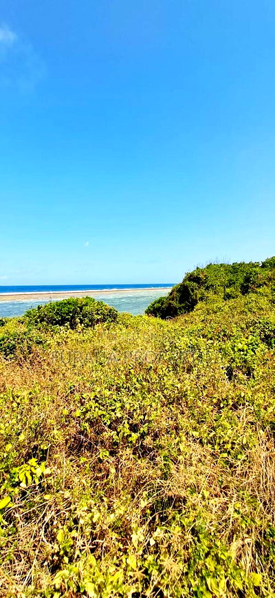 For Sale Quater Acre Beach Plots Vipingo - Image 4