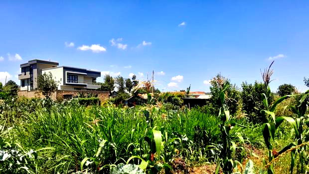 Kikuyu Prime Plot for Sale(Migumoini)