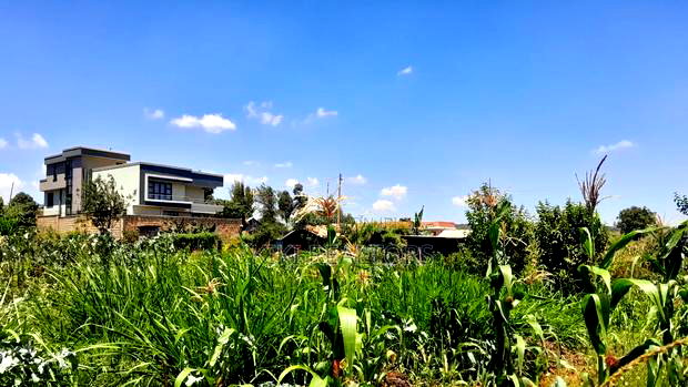 Kikuyu Prime Plot for Sale(Migumoini)