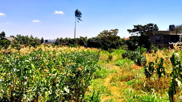 Kikuyu Prime Plot for Sale(Migumoini)