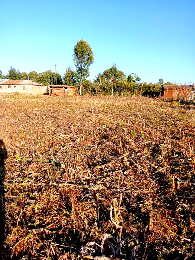 1/4 Plots Near Munyaka With Title
