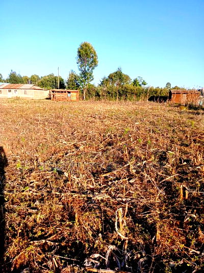 1/4 Plots Near Munyaka With Title - Image 2