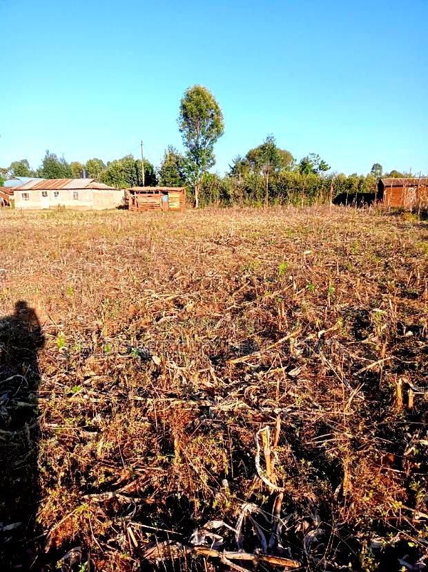 1/4 Plots Near Munyaka With Title