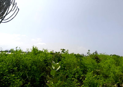 3-Acre Watamu Land for KSh 60M