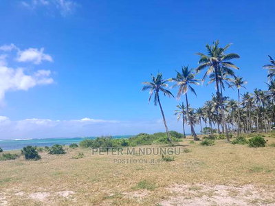 Prime Beach Land on Sale, North Coast - Image 10