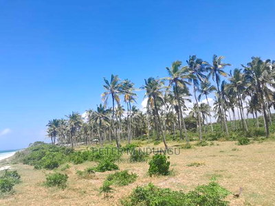 Prime Beach Land on Sale, North Coast - Image 2