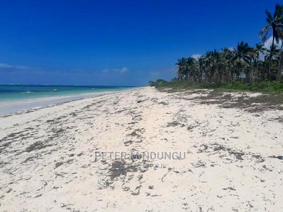 Prime Beach Land on Sale, North Coast - Image 3