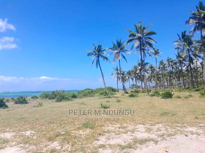 Prime Beach Land on Sale, North Coast - Image 4