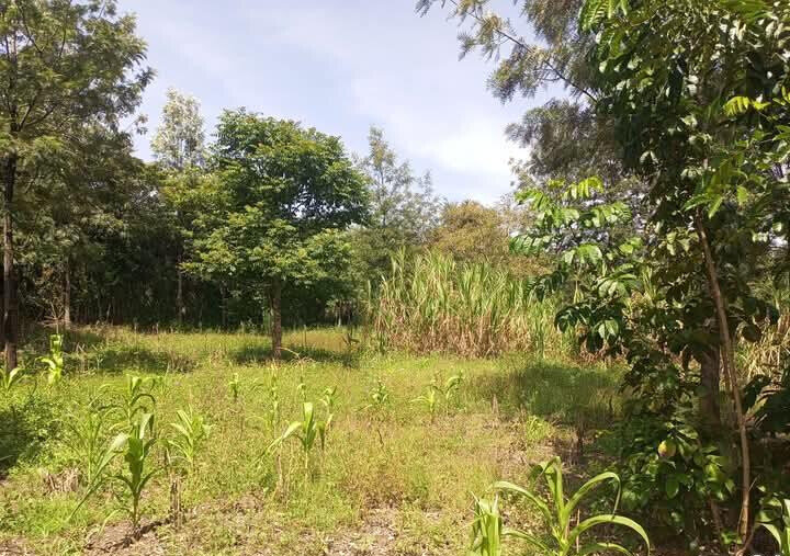 Corner Plot for KSh 5.5M in Ongata Rongai
