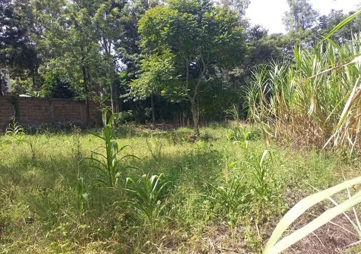 Corner Plot for KSh 5.5M in Ongata Rongai