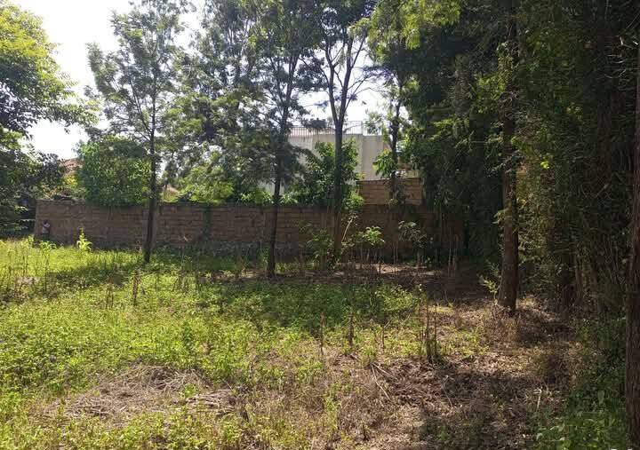 Corner Plot for KSh 5.5M in Ongata Rongai
