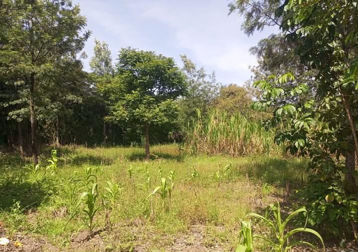 Corner Plot for KSh 5.5M in Ongata Rongai