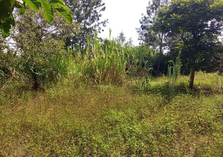 Corner Plot for KSh 5.5M in Ongata Rongai