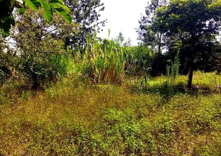 Corner Plot for KSh 5.5M in Ongata Rongai