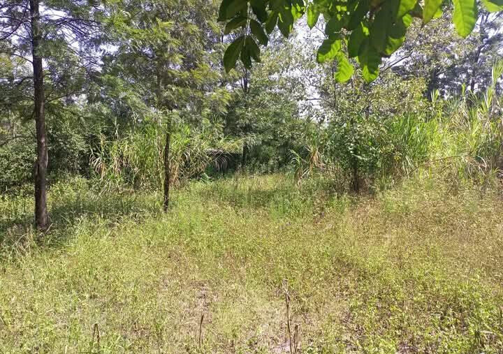 Corner Plot for KSh 5.5M in Ongata Rongai