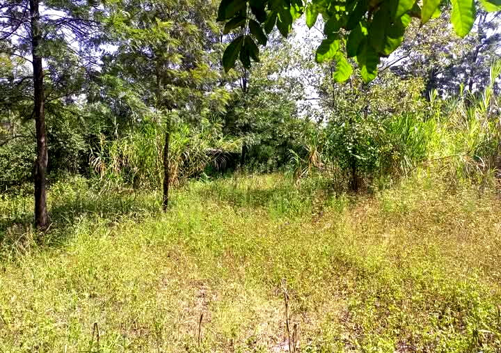 Corner Plot for KSh 5.5M in Ongata Rongai