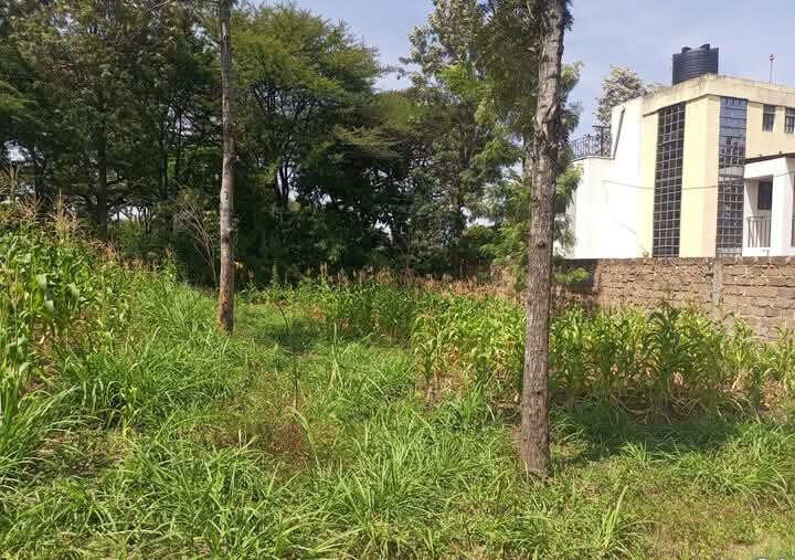 Corner Plot for KSh 5.5M in Ongata Rongai