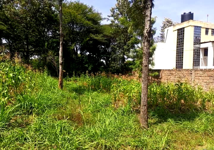 Corner Plot for KSh 5.5M in Ongata Rongai
