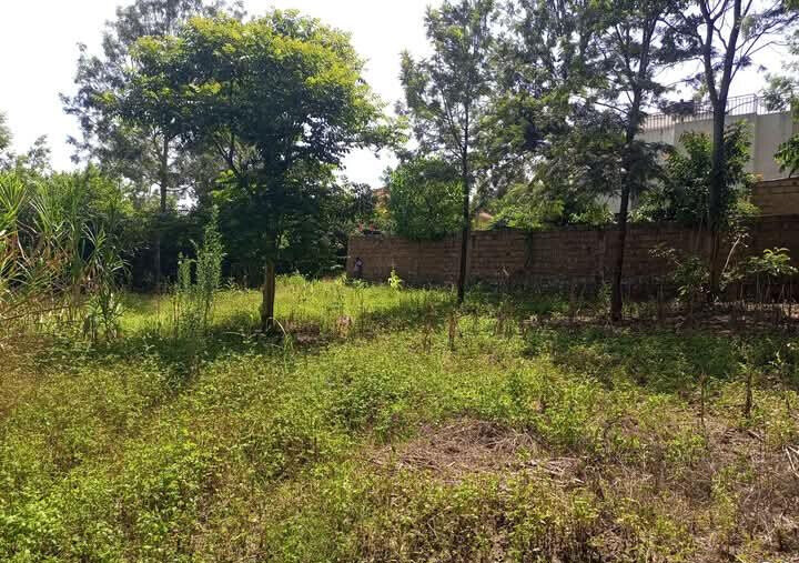 Corner Plot for KSh 5.5M in Ongata Rongai
