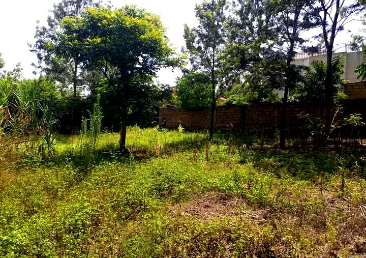 Corner Plot for KSh 5.5M in Ongata Rongai