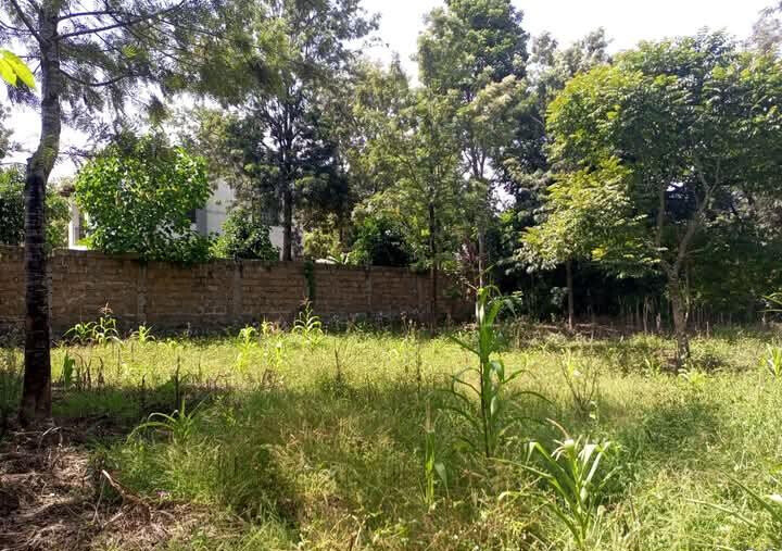 Corner Plot for KSh 5.5M in Ongata Rongai