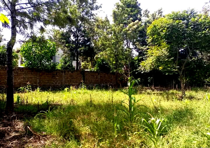 Corner Plot for KSh 5.5M in Ongata Rongai