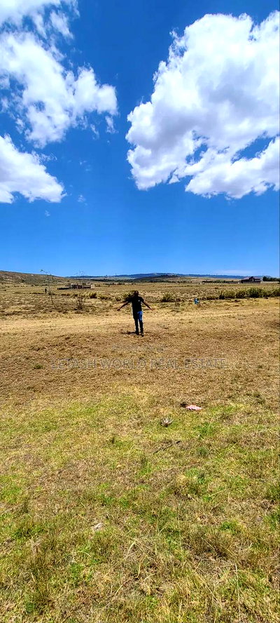 3 Acres of Land Along the Naivasha Maaimahiu Highway 19.5m - Image 4