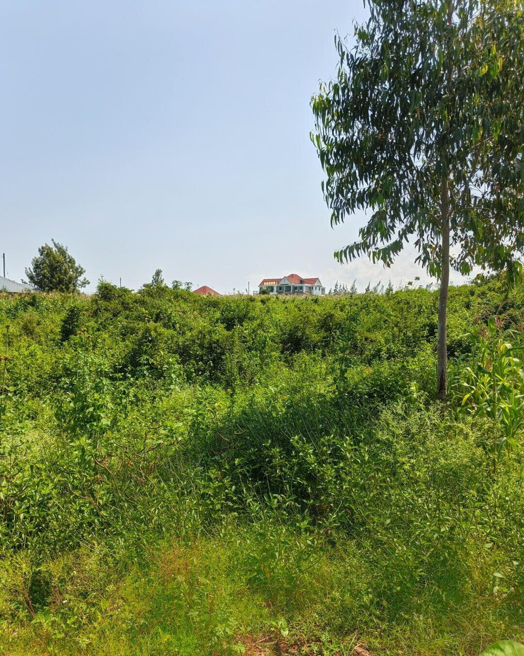 1/2 Acre Paga Beach Plot