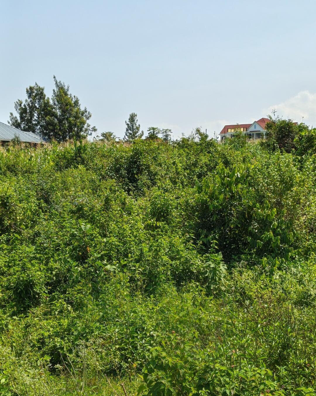 1/2 Acre Paga Beach Plot