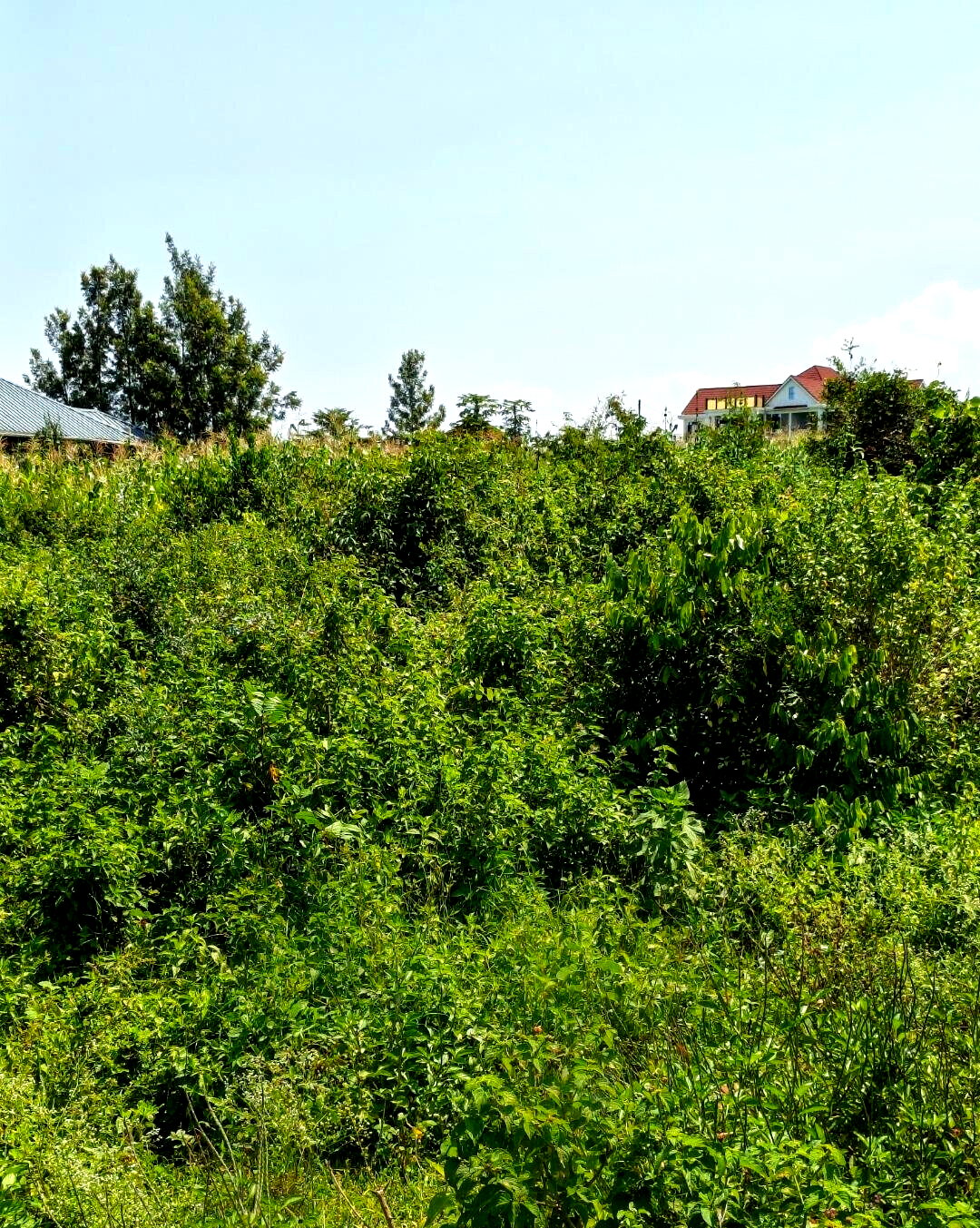 1/2 Acre Paga Beach Plot