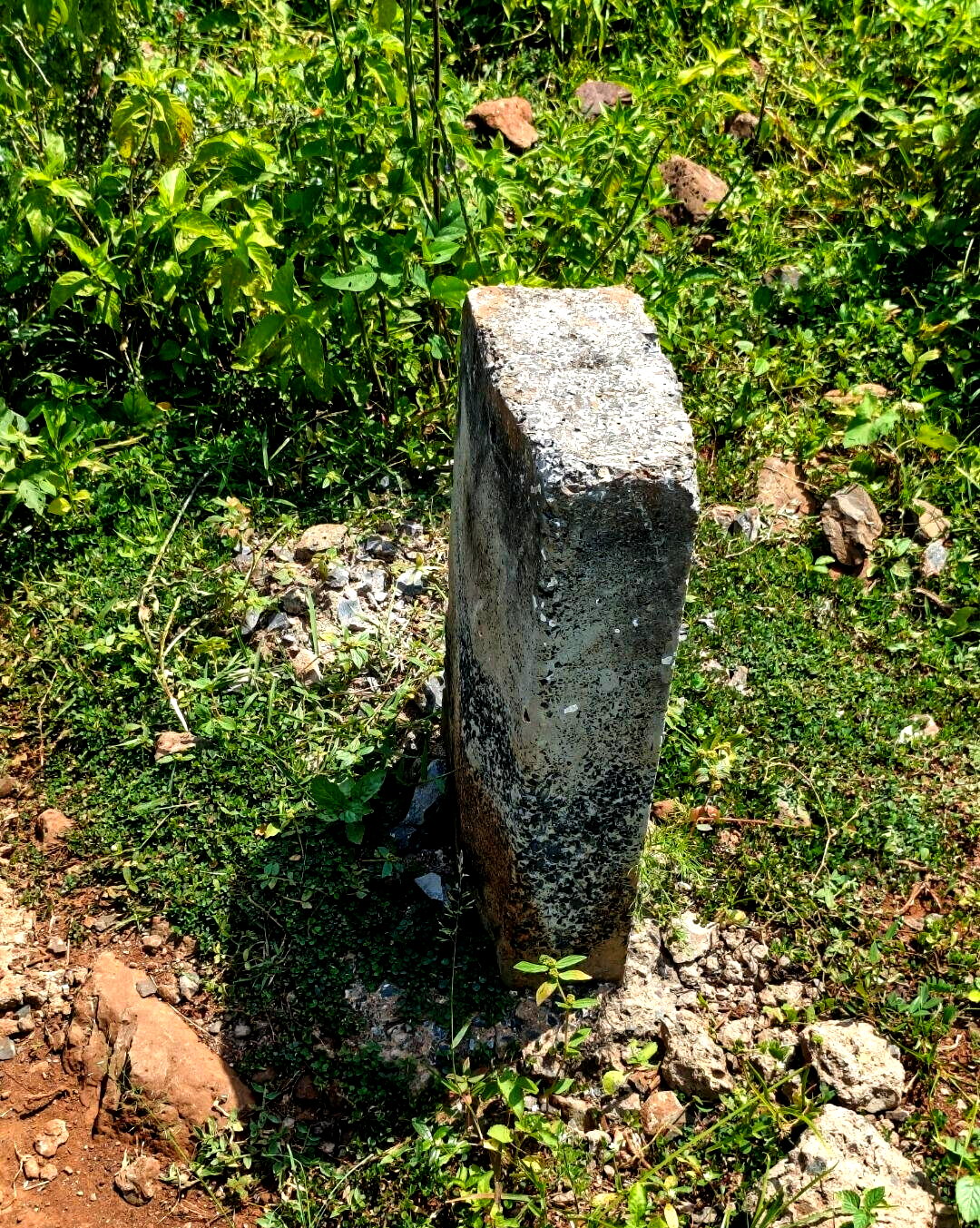 1/2 Acre Paga Beach Plot